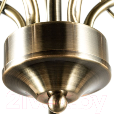 Изображение товара Люстра Arte Lamp Blossom A2709PL-5AB
