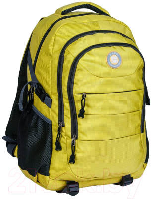 Школьный рюкзак Paso 20-30060YL