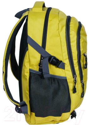 Школьный рюкзак Paso 20-30060YL