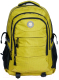 Школьный рюкзак Paso 20-30060YL - 