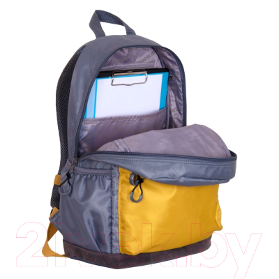 Школьный рюкзак Merlin MR20-147-3