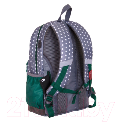 Школьный рюкзак Merlin MR20-147-4