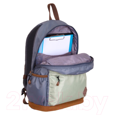 Школьный рюкзак Merlin MR20-147-6