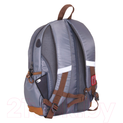 Школьный рюкзак Merlin MR20-147-6