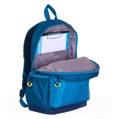 Школьный рюкзак Merlin MR20-147-10