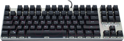 Клавиатура Rapoo VPRO V500 Alloy (черный)