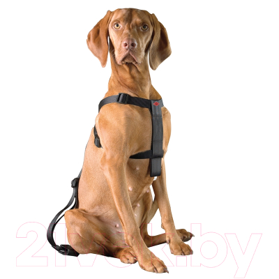 Ремень безопасности для собак EBI 313/419229 (L, черный)