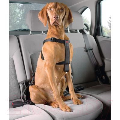 Ремень безопасности для собак EBI 313/419236 (XL, черный)