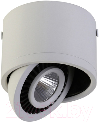 

Точечный светильник FAVOURITE, Reflector 1776-1C