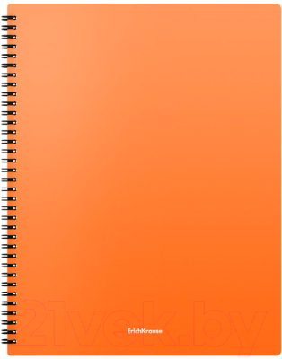 Изображение товара Папка для бумаг Erich Krause Matt Neon / 49953