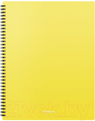 Изображение товара Папка для бумаг Erich Krause Matt Neon / 49954