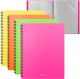 Миниатюра изображения товара Папка для бумаг Erich Krause Matt Neon / 49954