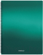 Миниатюра изображения товара Папка для бумаг Erich Krause Matt Ice Metallic / 49961