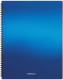 Папка для бумаг Erich Krause Matt Ice Metallic / 49962 - 