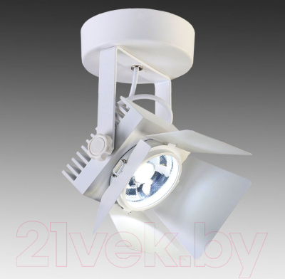 Точечный светильник FAVOURITE Projector 1771-1U