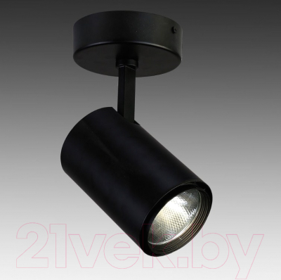 Точечный светильник FAVOURITE Projector 1772-1U