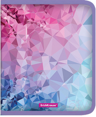 

Папка для тетрадей Erich Krause, Pink Dynamique / 49349