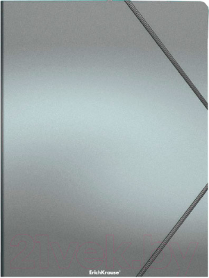 Папка для бумаг Erich Krause Matt Ice Metallic / 50399