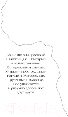 Книга АСТ Африка. Рассказы о диких животных (Стеллиферовская Н., Стеллиферовский П.)