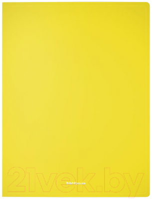 Изображение товара Папка для бумаг Erich Krause Matt Neon / 50131