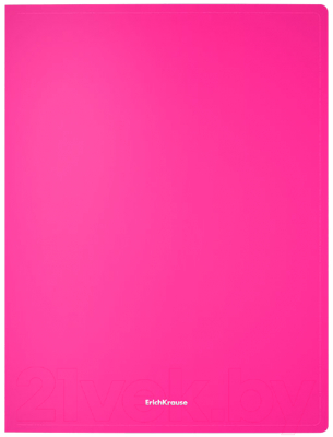 Изображение товара Папка для бумаг Erich Krause Matt Neon / 50131