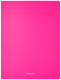 Миниатюра изображения товара Папка для бумаг Erich Krause Matt Neon / 50131