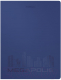 Миниатюра изображения товара Папка для бумаг Erich Krause Megapolis / 50132