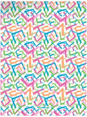 

Папка для бумаг Erich Krause, Lines / 50369