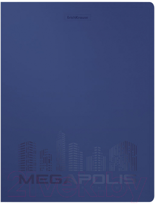 Изображение товара Папка для бумаг Erich Krause Megapolis / 50139