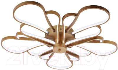 

Потолочный светильник FAVOURITE, F-promo Bluten 2548-5U