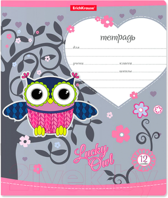 

Тетрадь Erich Krause, Lucky Owl / 42558