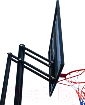 Баскетбольный стенд DFC STAND56P (143x80см)