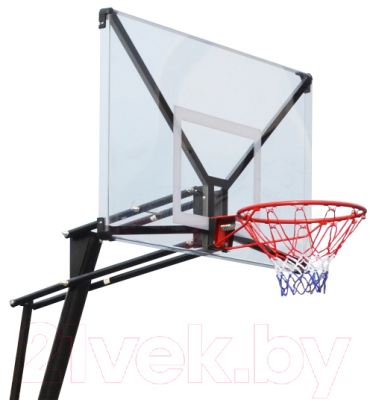 Баскетбольный стенд DFC STAND54T (136x80см)