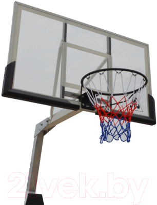 Баскетбольный стенд DFC STAND60SG (152x90см)