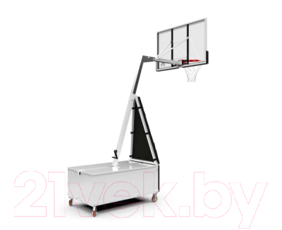 Баскетбольный стенд DFC STAND56SG (143x80см)