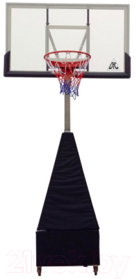 Баскетбольный стенд DFC STAND50SG (127x80см)