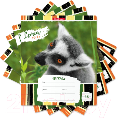 Изображение товара Тетрадь Erich Krause Lemur Style / 49190 (18л, линейка)