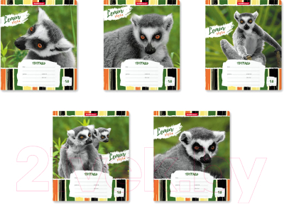 Изображение товара Тетрадь Erich Krause Lemur Style / 49190 (18л, линейка)
