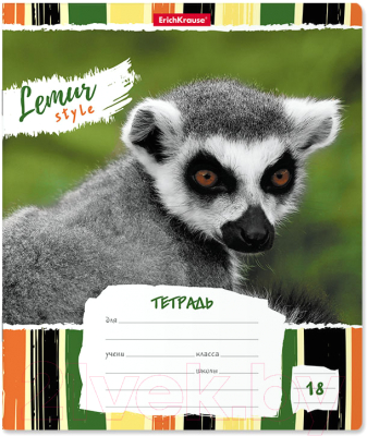 Изображение товара Тетрадь Erich Krause Lemur Style / 49190 (18л, линейка)