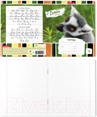Изображение товара Тетрадь Erich Krause Lemur Style / 49190 (18л, линейка)