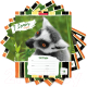 Миниатюра изображения товара Тетрадь Erich Krause Lemur Style / 49190 (18л, линейка)