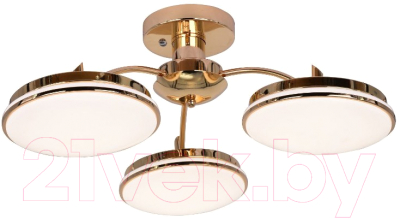 

Люстра FAVOURITE, F-promo Ledante 2473-3P