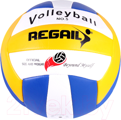 Мяч волейбольный Darvish RVB-001 / DV-S-28