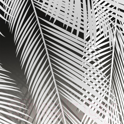 Фотообои листовые Citydecor Пальмовые листья (400x254)