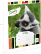 Миниатюра изображения товара Тетрадь Erich Krause Lemur Style / 49189 (18л, клетка)