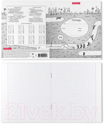 Изображение товара Тетрадь Erich Krause Муравьишки / 49221 (24л, клетка)
