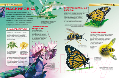 Энциклопедия Росмэн Насекомые. Детская энциклопедия