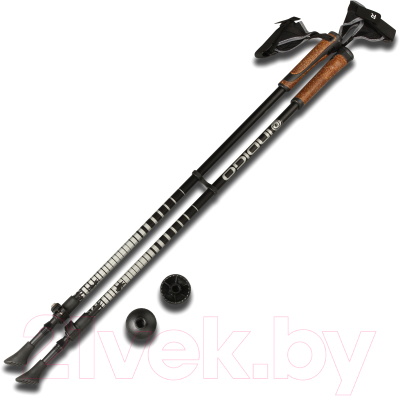 Палки для скандинавской ходьбы Indigo SL-602 М1 (черный)