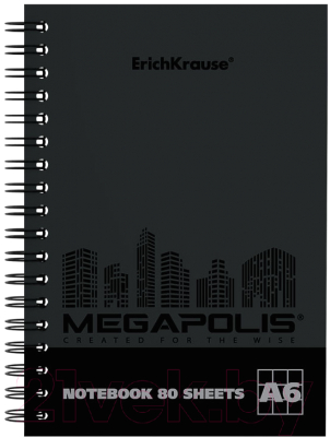 Тетрадь Erich Krause Megapolis / 49808 (80л, клетка)