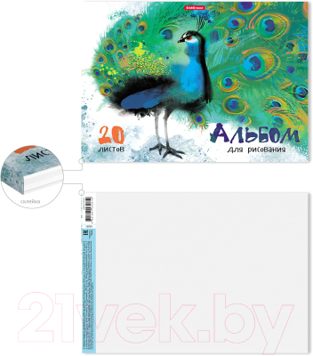 Изображение товара Альбом для рисования Erich Krause ArtBerry Птицы жарких стран / 43261